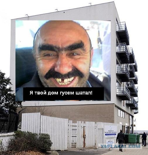 Дом, в который врезаются гуси