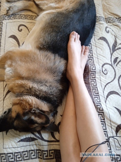 Большая разница в возрасте: хочу развестись, чтобы не содержать мужа на пенсии