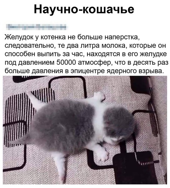Картинки на пятницу