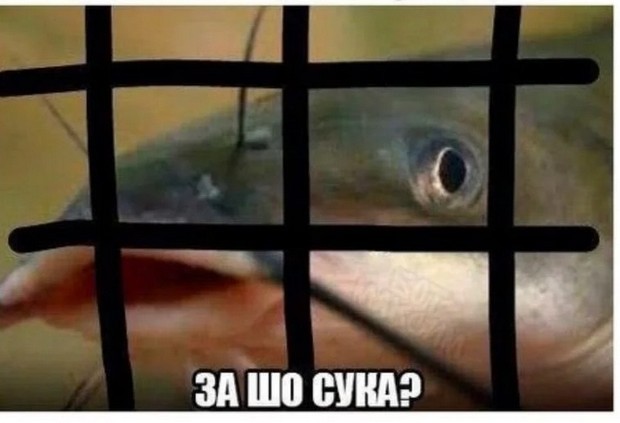 Раскрыт секрет женского одиночества