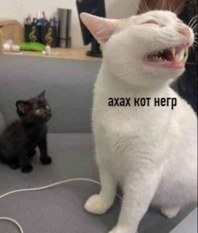 Картинок разной степени @анутости псто.