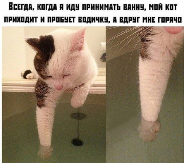 Картинки и мемы, всем хороших выходных