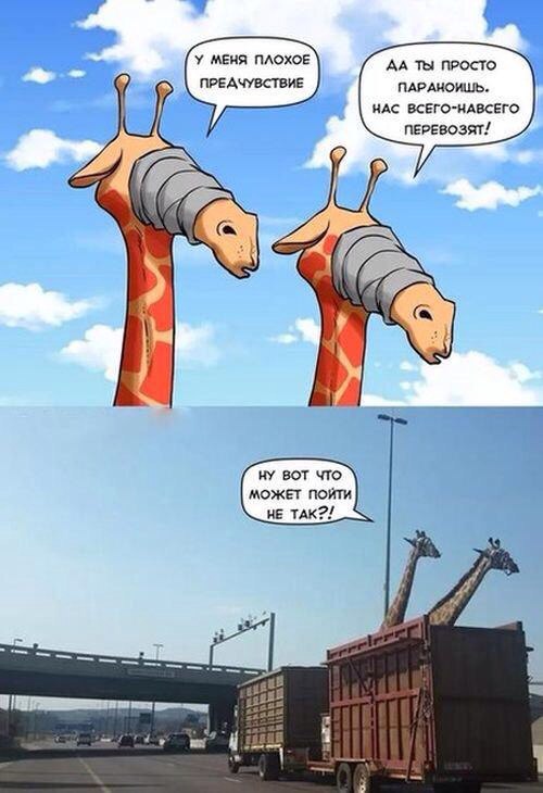 Так себе картинки 27.08.23