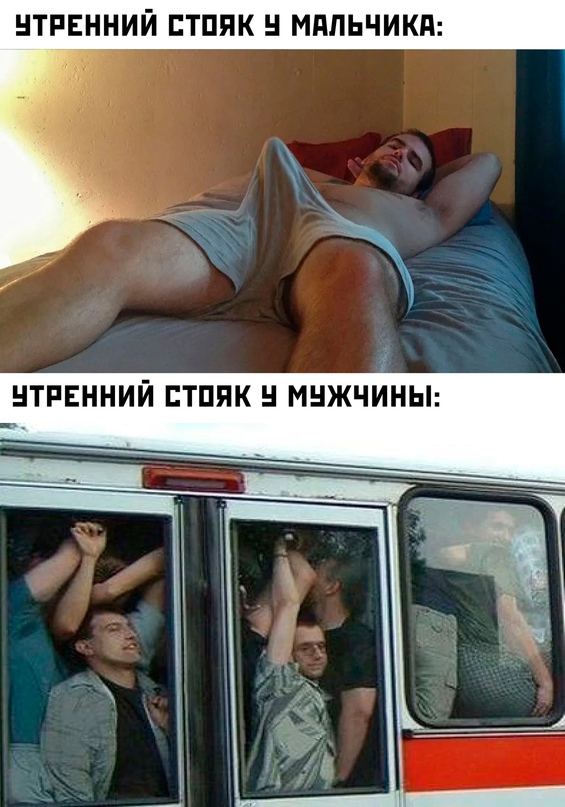 Весёлый полтишок 29.08.23