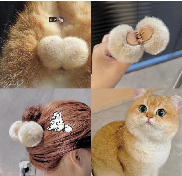 Котик и пожелания на Новый Год