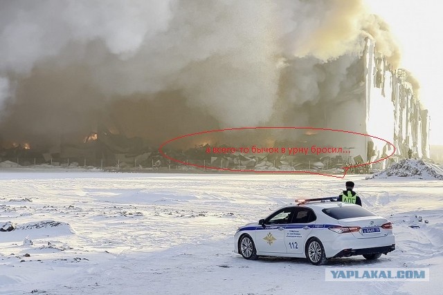 Внезапный ренессанс...⁠⁠