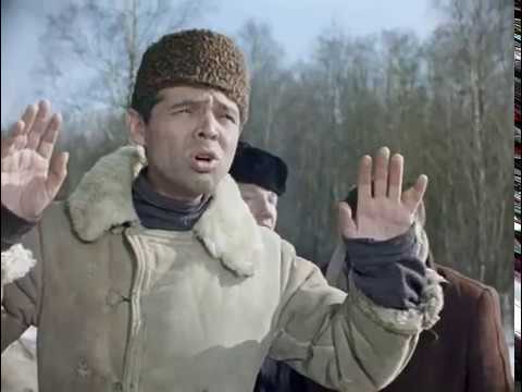План Надеждина: первый день, первая неделя