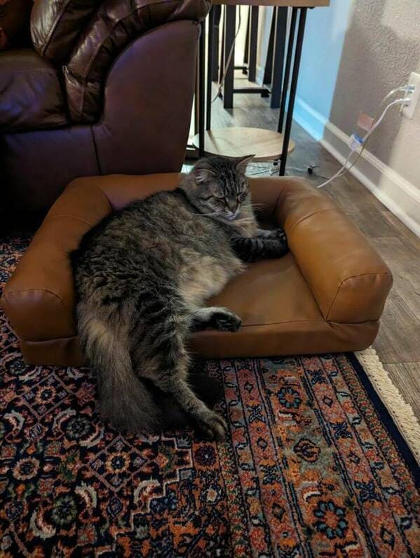 ФотоВинегрет