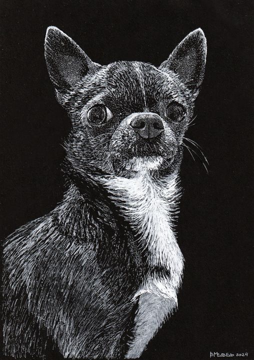 Белым по черному-2