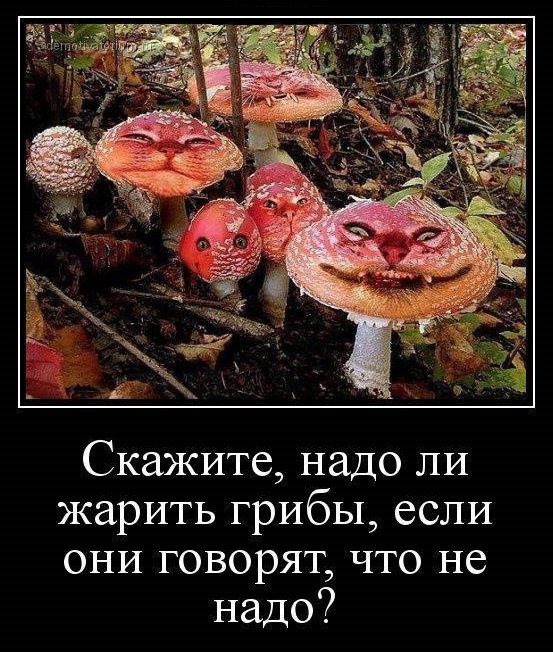 Картинки разные с надписями и без