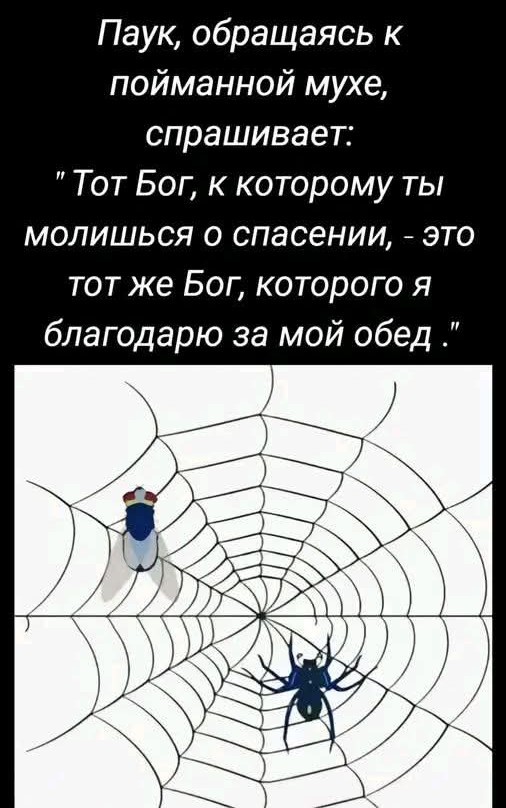 Картинки про юмор