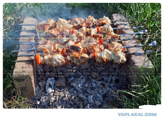 Циничный мангал