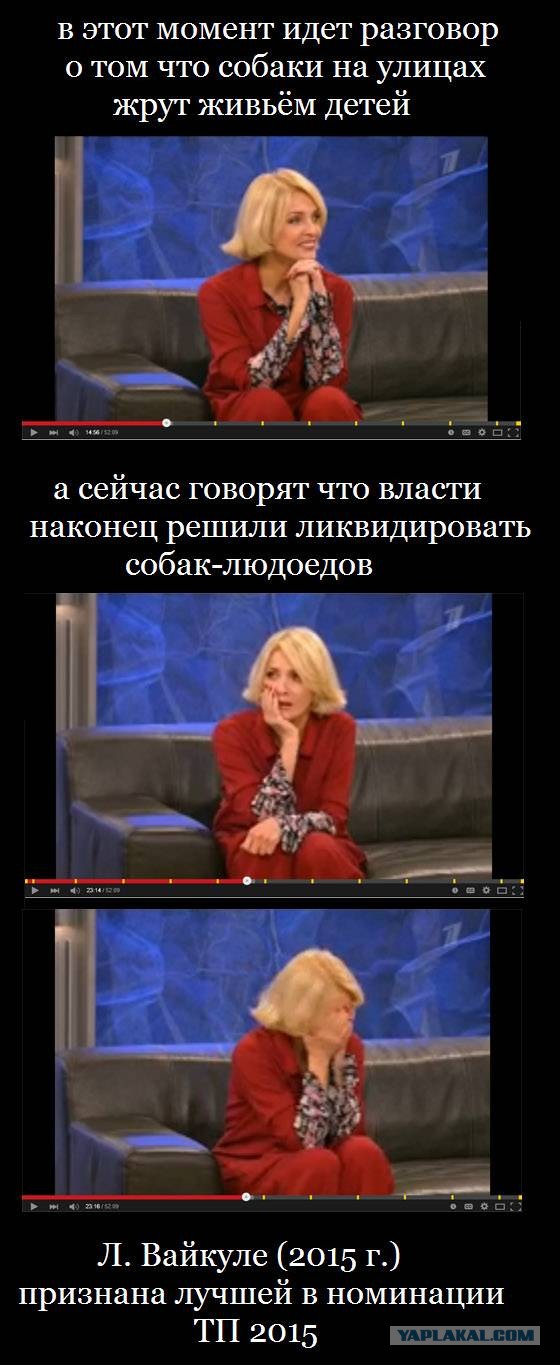 Зоошиза в атаке