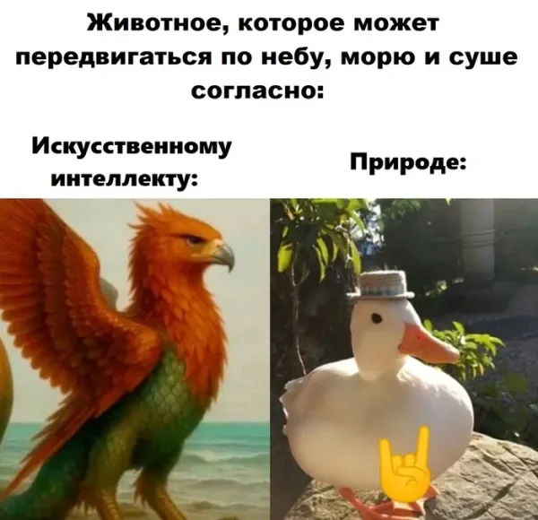 Картинки для деградации-6 (разной степени свежести)