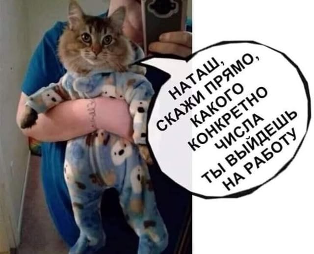 К котовторнику: подборка картинок-баянов с котиками и про котиков. Выпуск 18.
