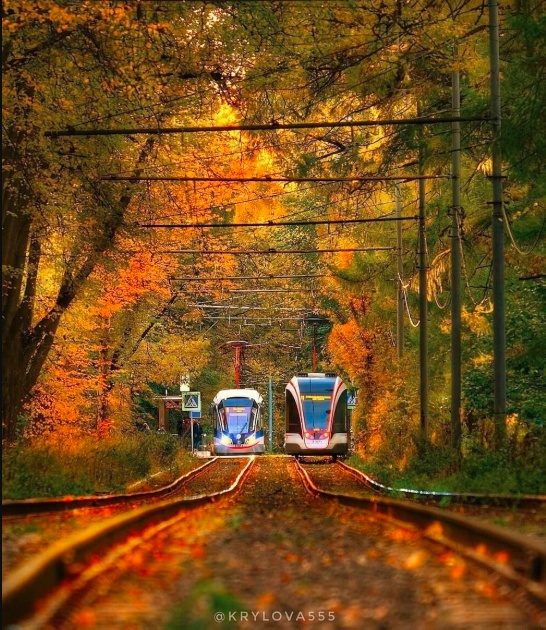 Красивых фото тост