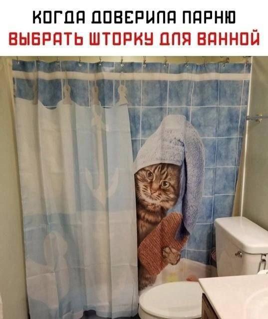 К котовторнику: подборка картинок-баянов с котиками и про котиков. Выпуск 28.