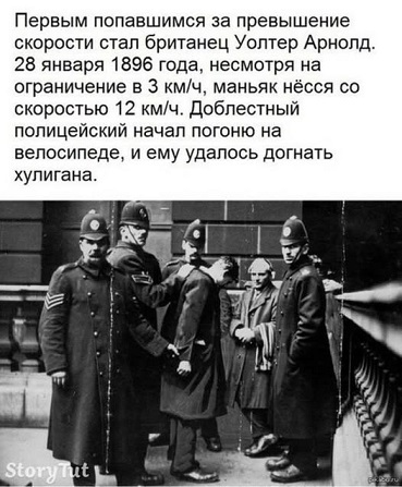 Жизнь на острове