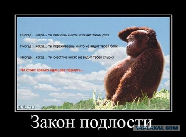 Закон подлости и еще 35 ироничных закономерностей.