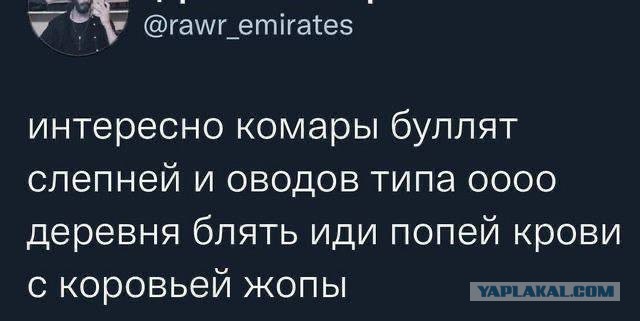 Субботние картинки