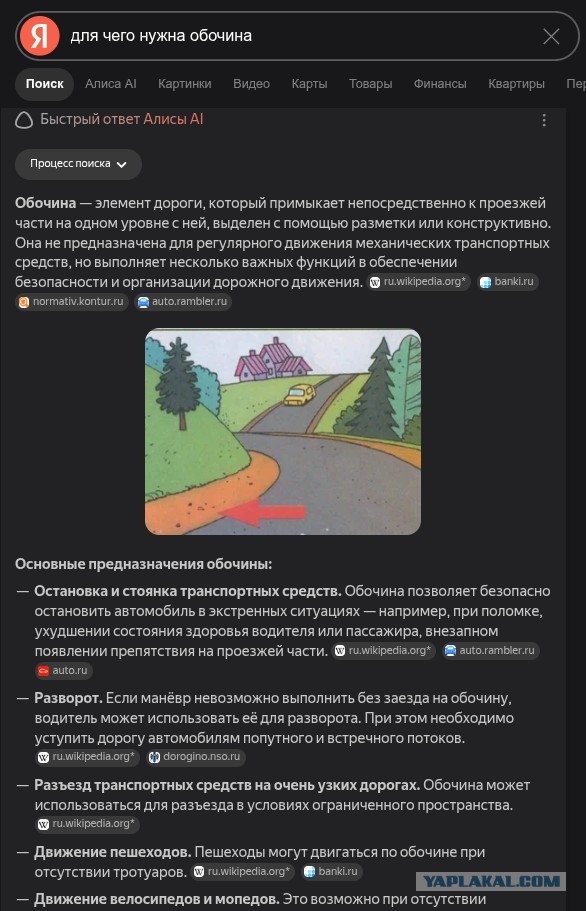 Агрессивный обочечник распылил газ и швырнул бутылку в стекло.