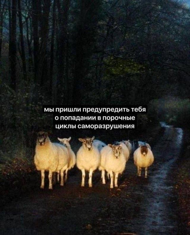 Картиночки, баянчики 15 августа