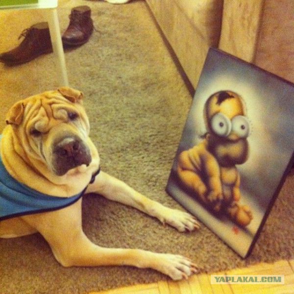 Весёлые картинки. Разбавим будни