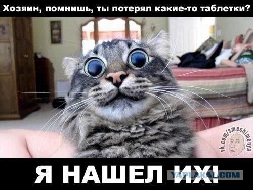 Смешные комментарии из социальных сетей 09.06.14
