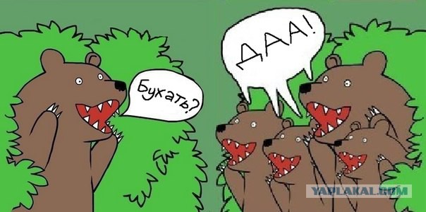 Медведи почти на все случаи жизни