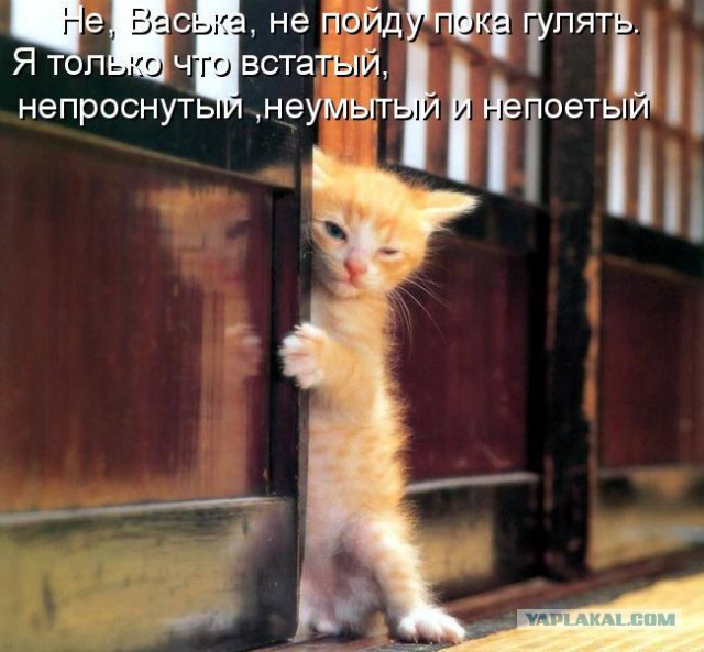 Чёрт, чёрт, чёрт!