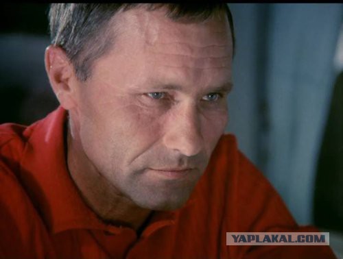 У кого кошка/кот ? HELP!