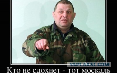 Прямая трансляция марша мира!
