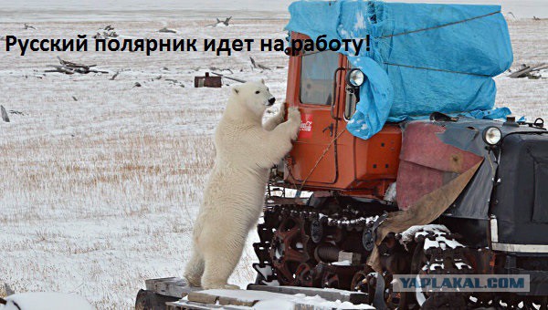 Россия приступила к строительству военного городка