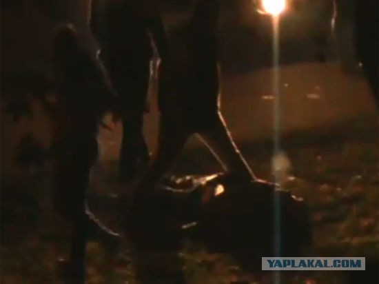 Поймали банду ГТА
