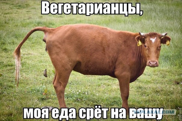 Хватит негатива на сегодня, пятница же!