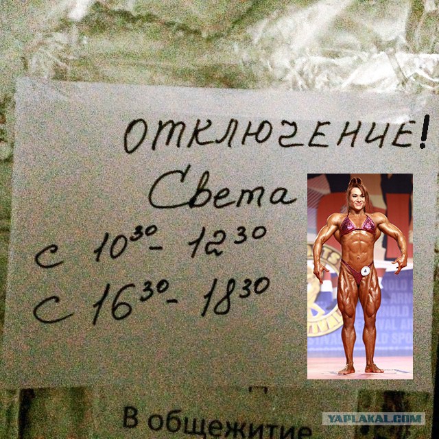 Что публикуют в инстаграме российские студенты