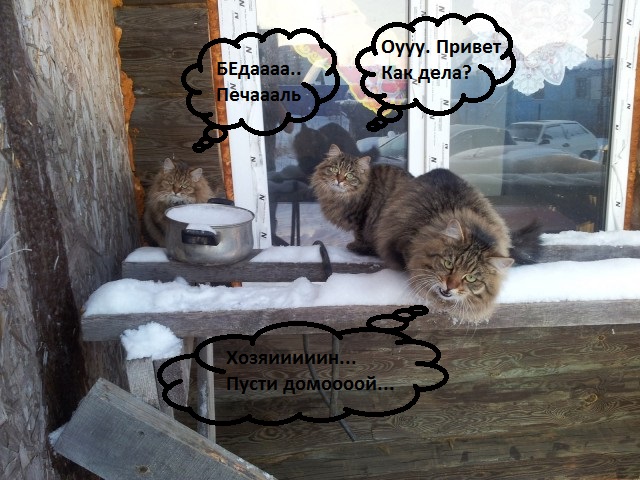Ты чего дерзкий такой?!