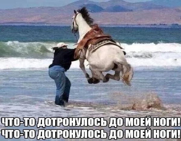 Картинки разные