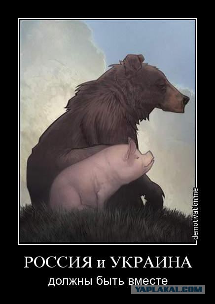 9 вопиющих отличий России от Украины!