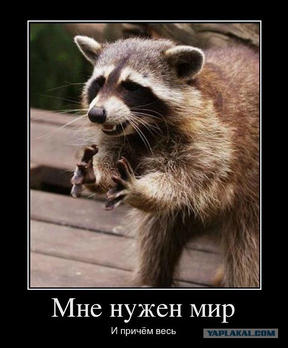 Минутка черного юмора на ЯПе