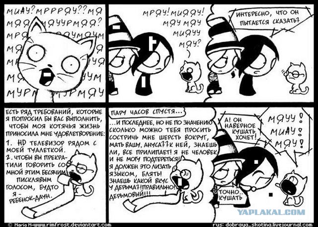 Про котейку