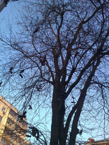 Веселые картинки