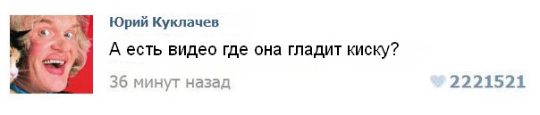 Продлим котовторник