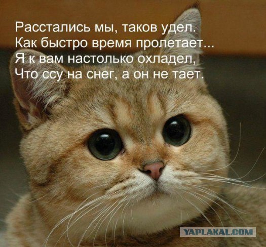 Разное на субботу
