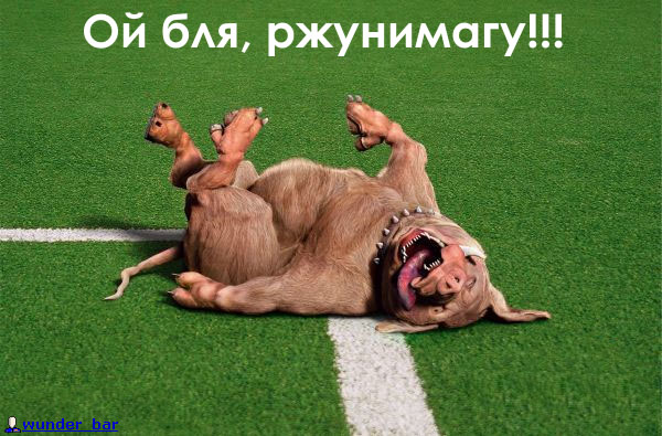 СОБАКИ и ЩЕНКИ. Все про собак!