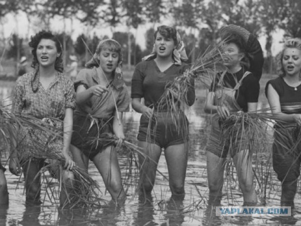 Подборка исторических фото