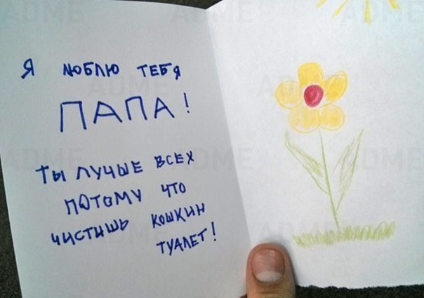 Не хочу убирать за котиком