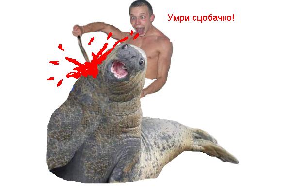Фотожаба: дебил с ножом