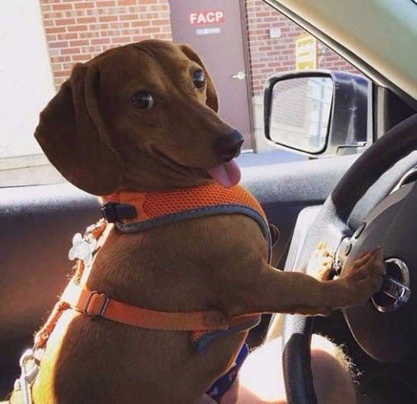 Подборка красивых картинок