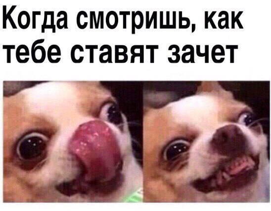 Картинки для поднятия настроения - 4